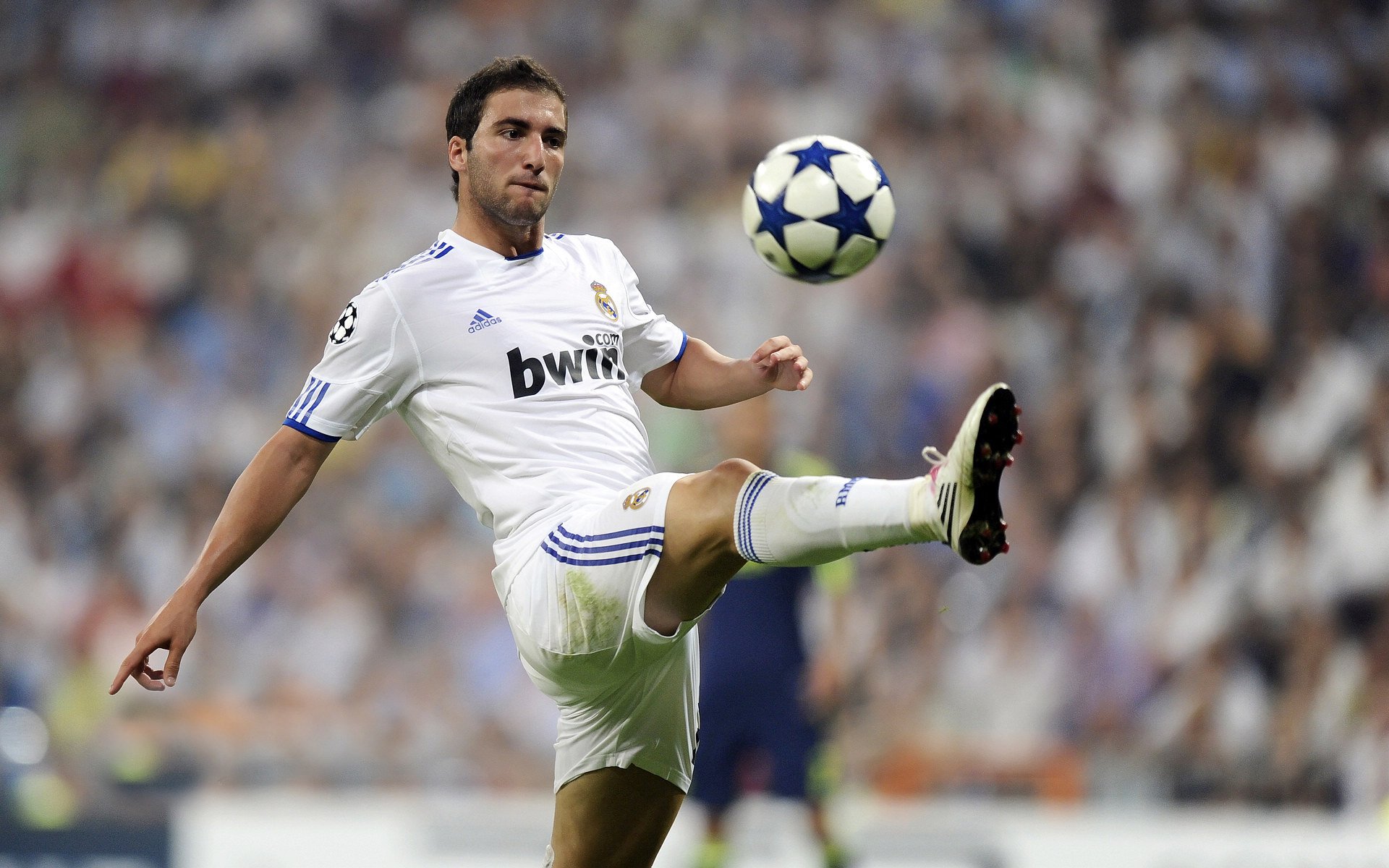 开云官网-风度，是绿茵场上最强大的力量，绿茵场上最强大的力量，风度